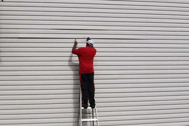 Best Fascia and Soffit Installation  in Agua Fria, NM